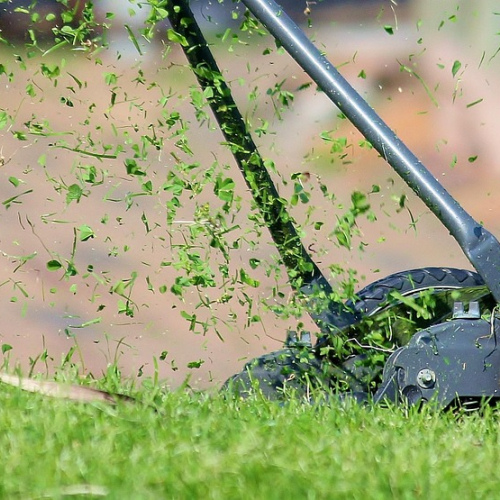 Pence GreenCut 21